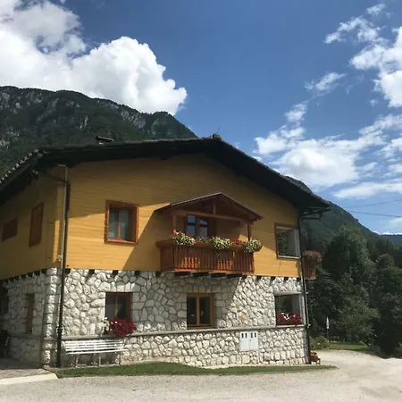 Guest house House Berdnik