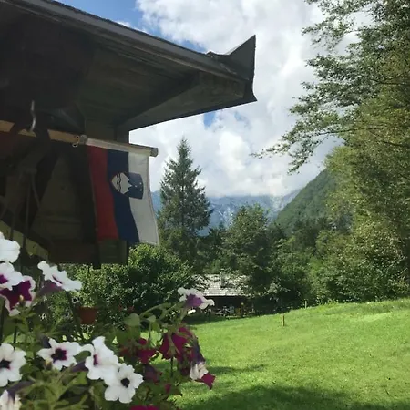 House Berdnik Guest house
