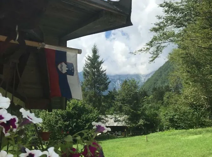 House Berdnik Πανσιόν